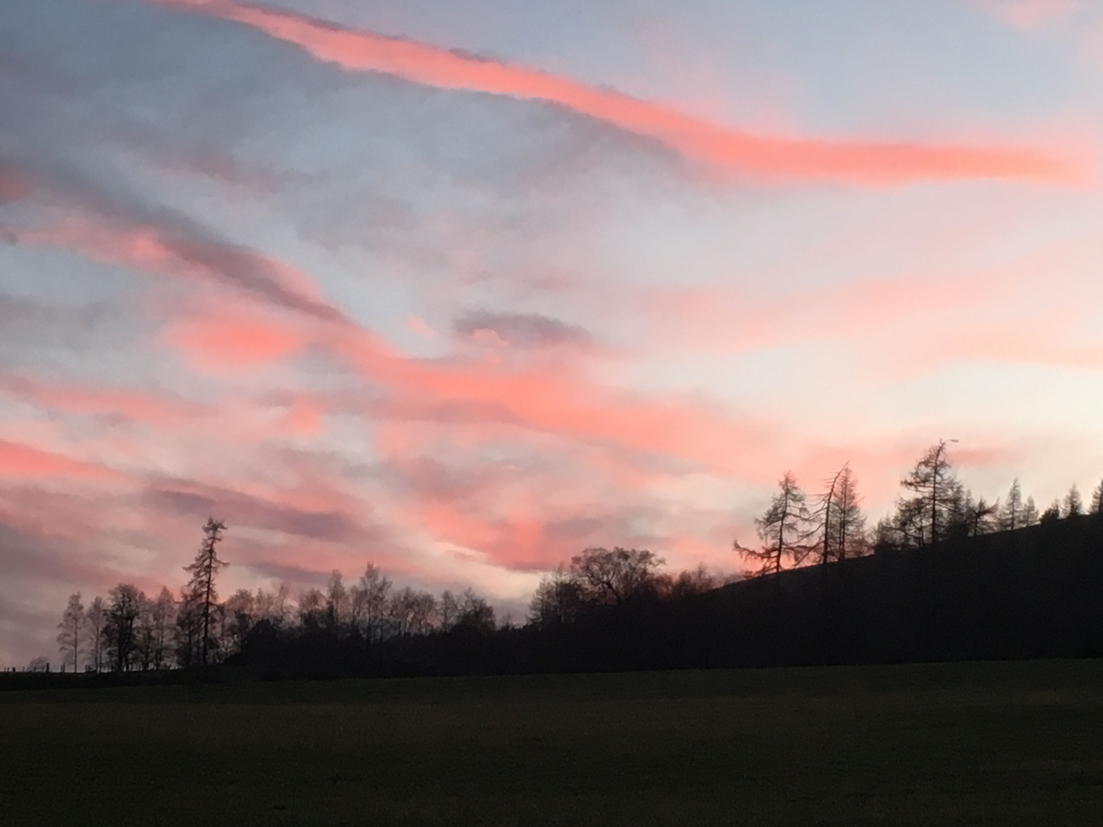 Un atardecer sobre un campo cubierto de hierba, con árboles silueteados contra el cielo.