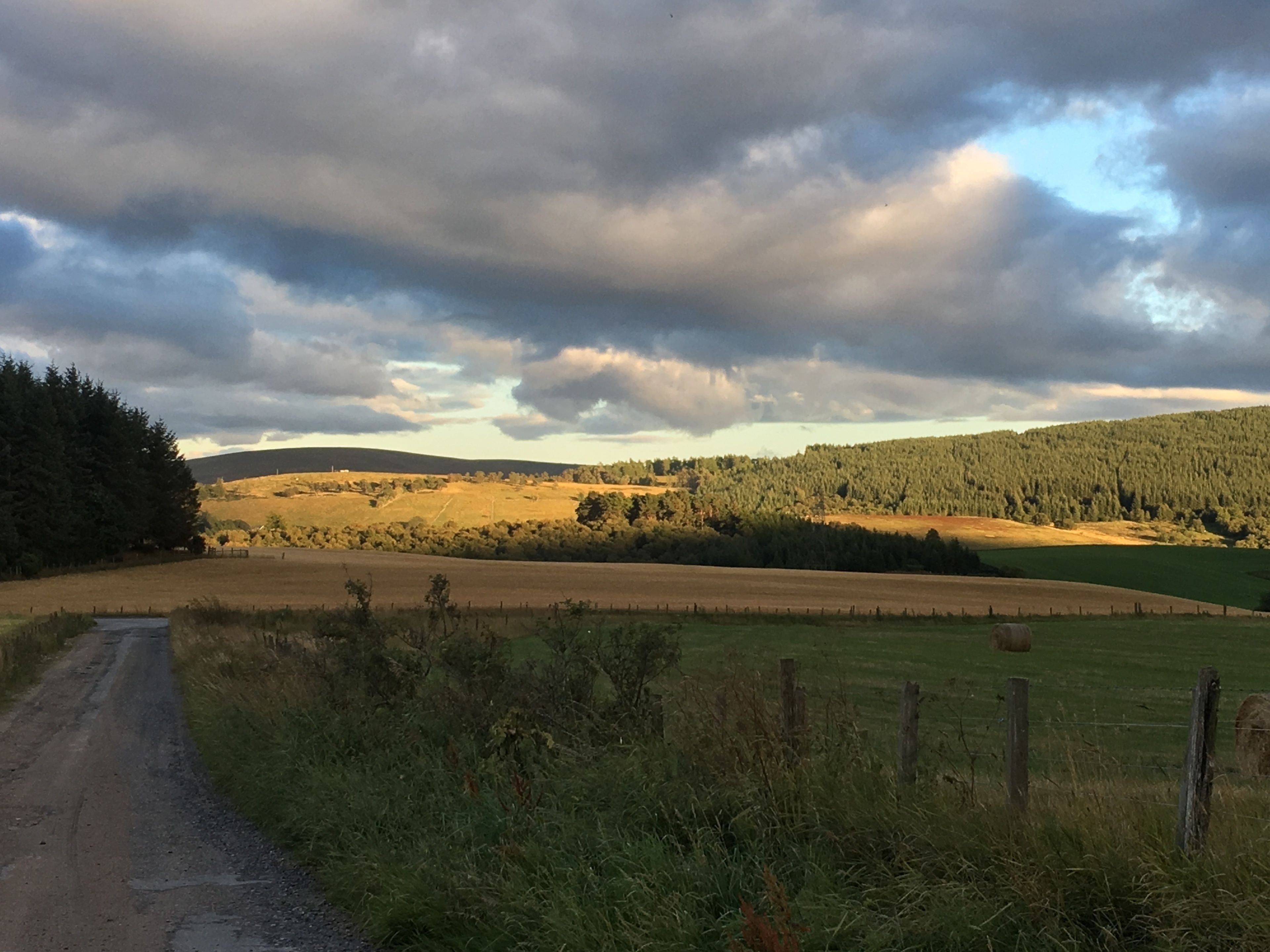 Ländliche Landschaft mit einer Feldstraße, Feldern und einem bewaldeten Hügel.