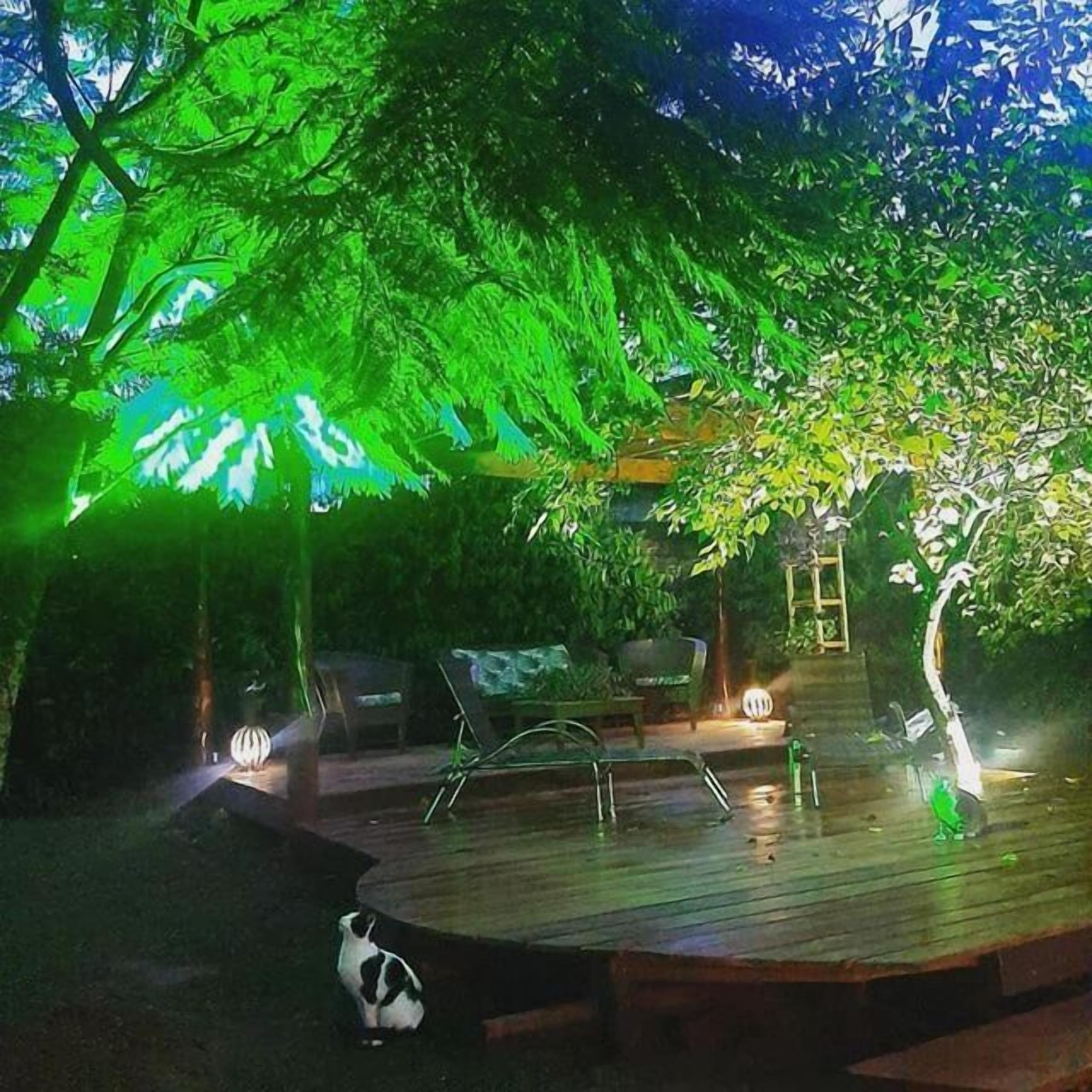 Une terrasse extérieure avec des sièges et une petite table, entourée d’arbres et illuminée par des lumières vertes.