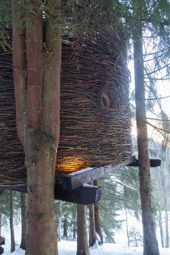 A birdhouse attached to a tree in a snowy forest.