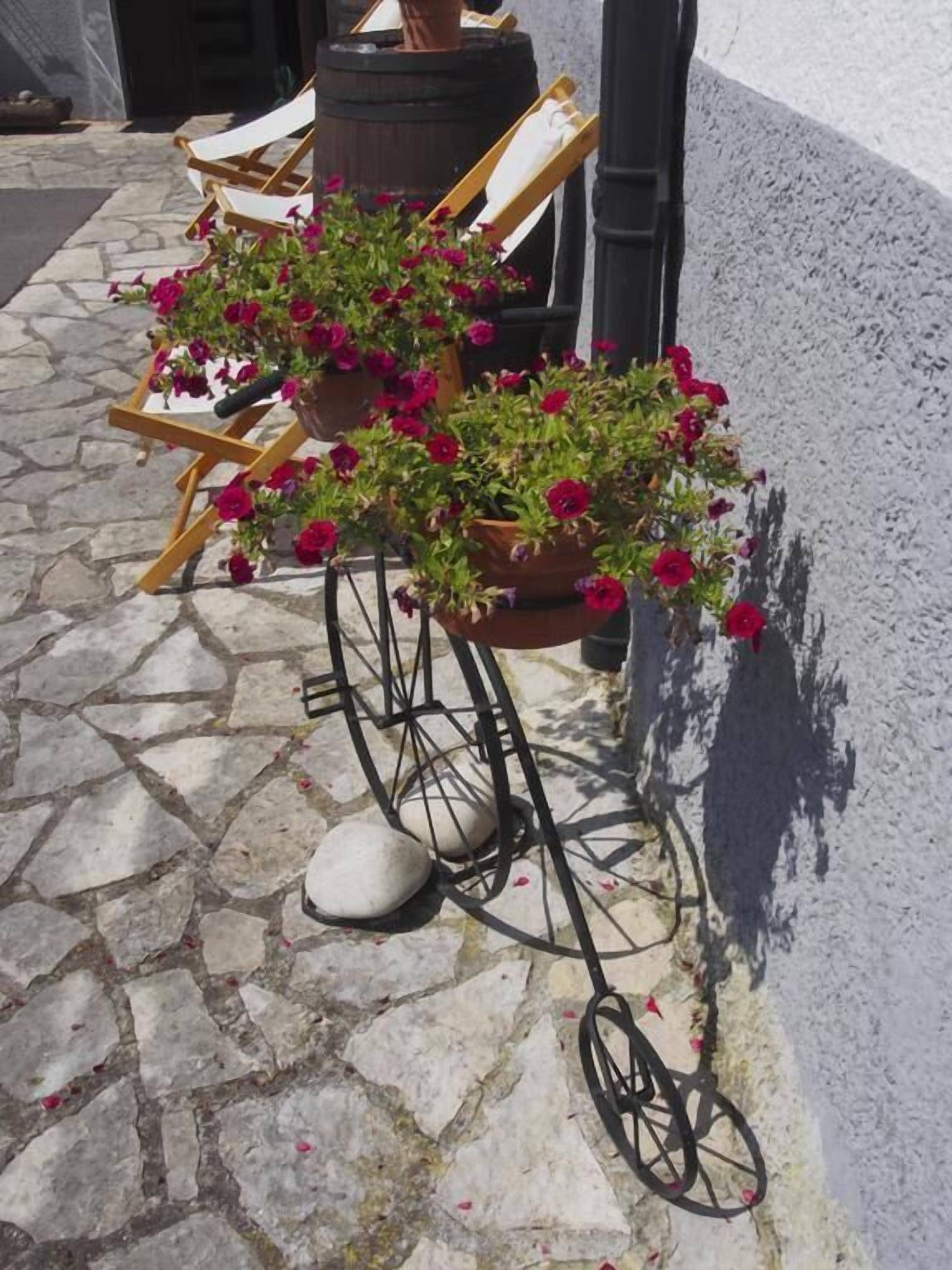 Foto - Casa de la Montaña Albergue Turístico