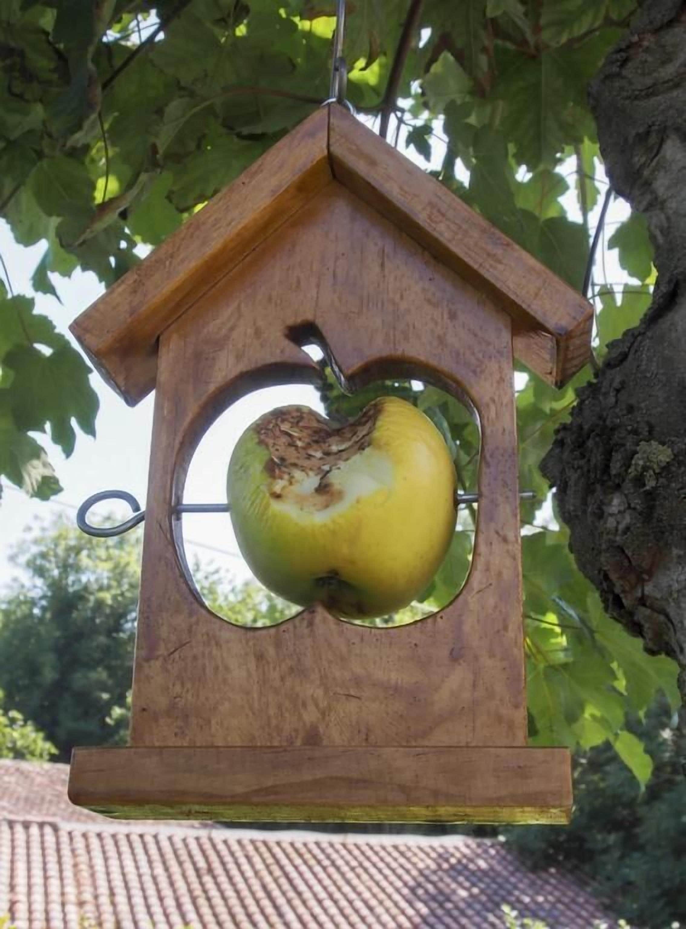 Foto - Casa de la Montaña Albergue Turístico