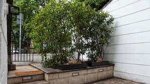 Una escalera de piedra conduce a un pequeño jardín con plantas en macetas y una valla de metal.