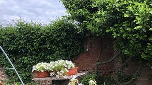 Exterior - Agriturismo I Suri (Asti)