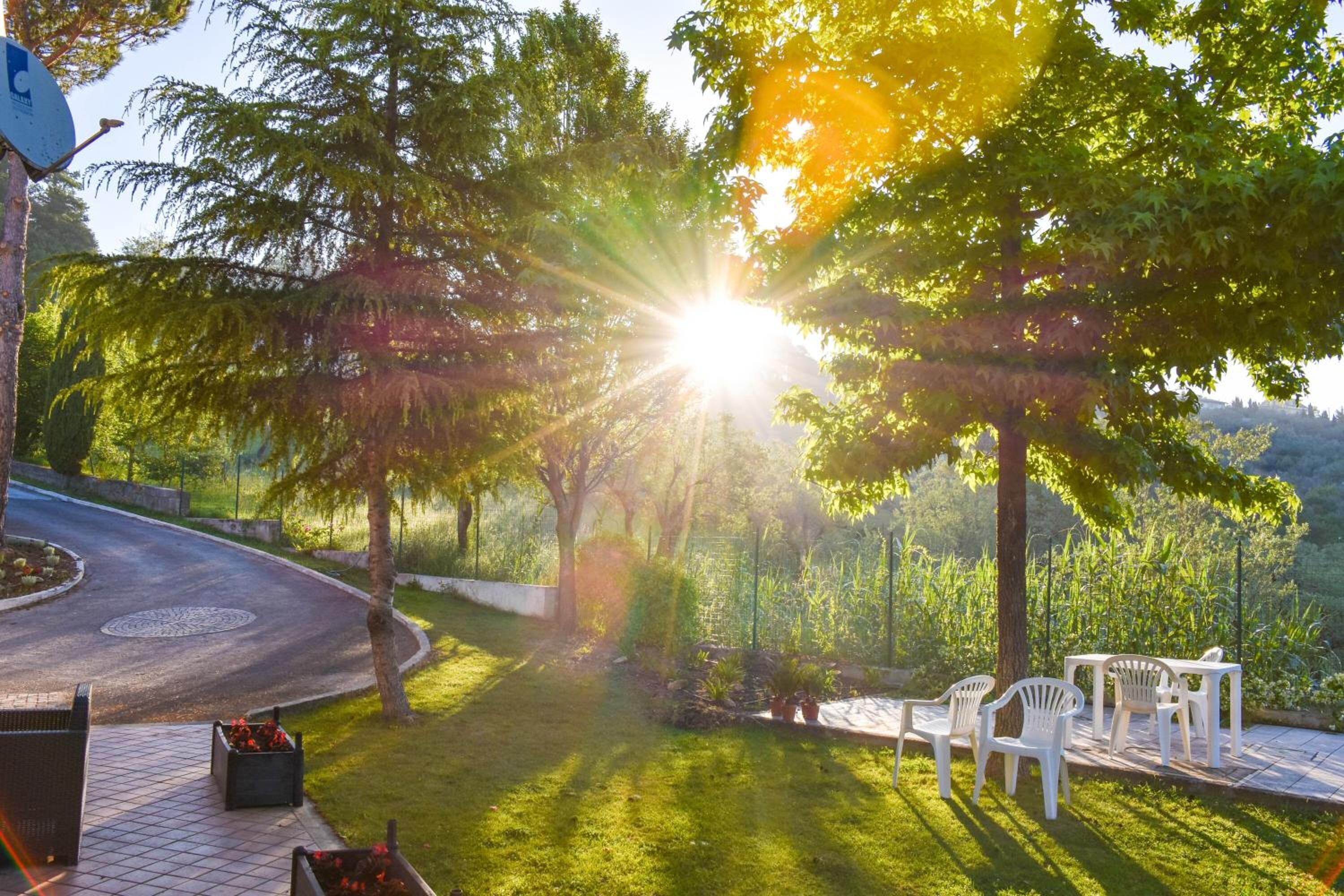 Parco della struttura