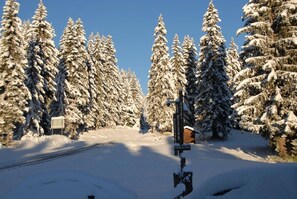 Exterior - Hotel Chalet Le Caribou (Villard-sur-Doron)