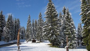 Exterieur