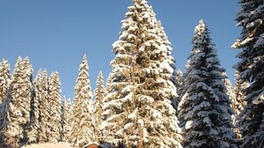 Exterieur