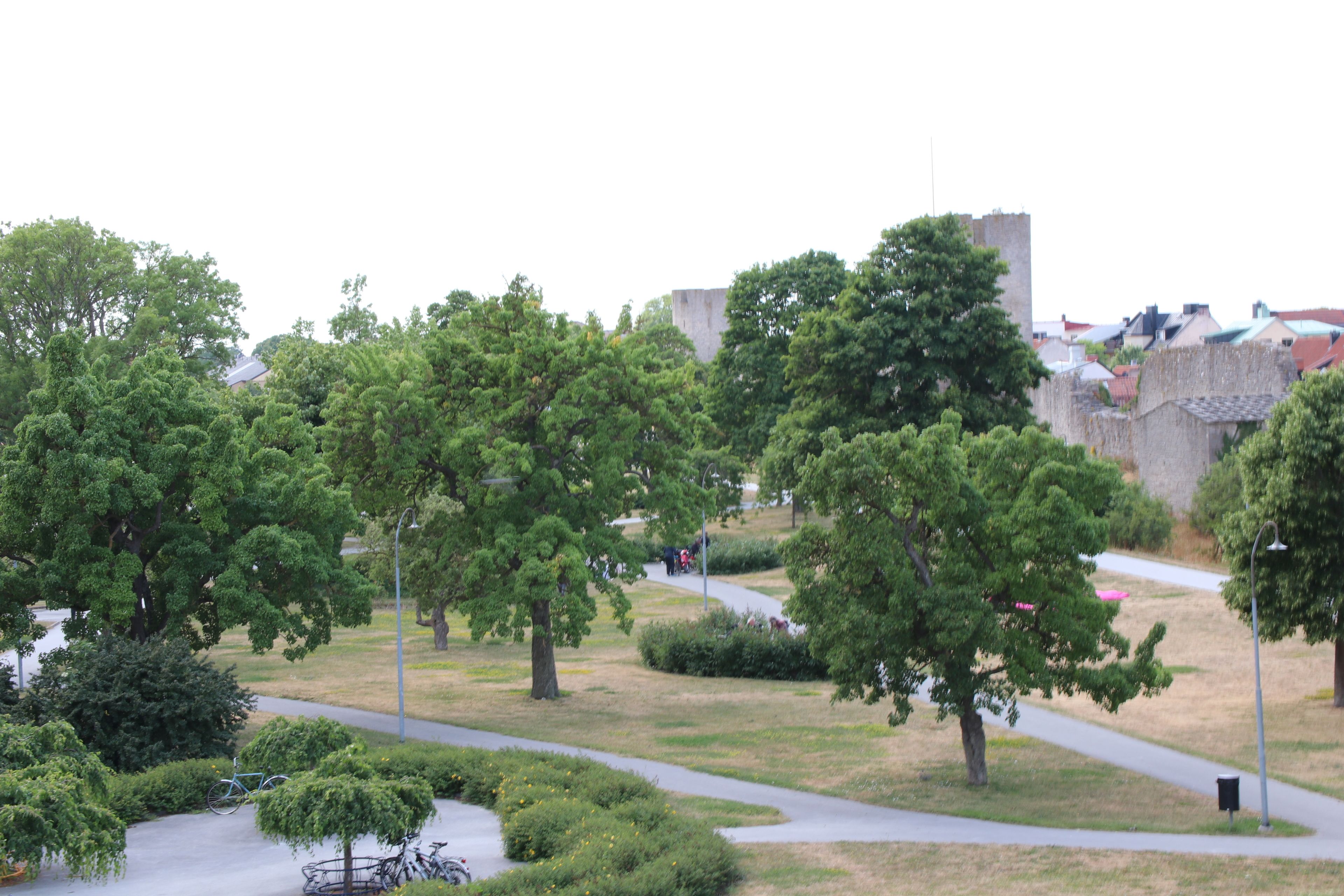 Vue depuis l’hébergement