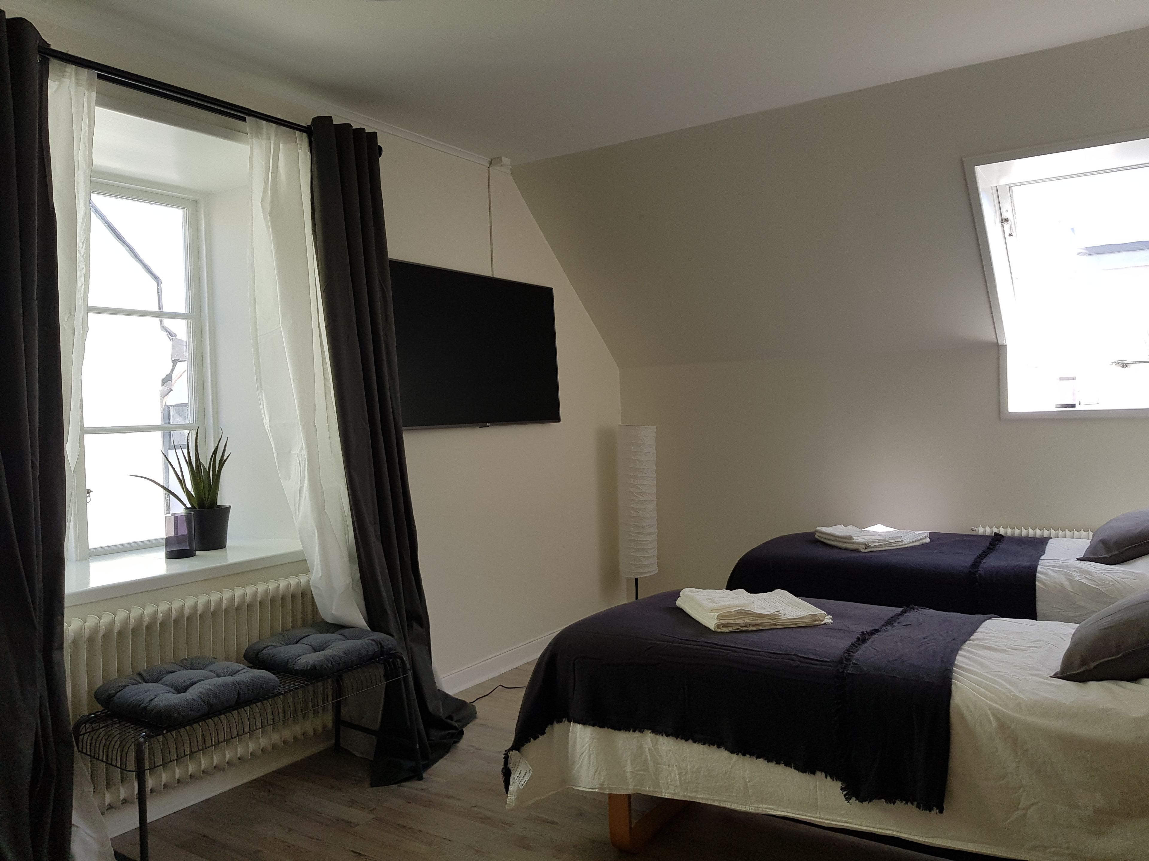 A bedroom with two beds, a radiator, a potted plant, a TV, and a window with curtains.