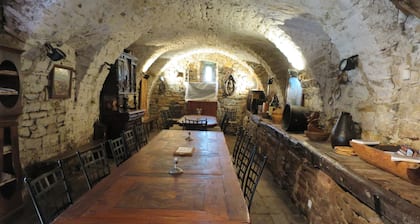 Castle South France with pool, fantastic for family or friends party