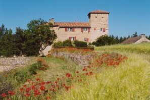 Exterior - Castle South France with pool, fantastic for family or friends party (Millau)