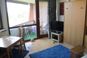 Fernseher