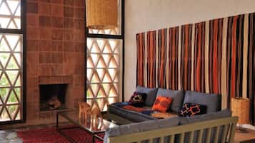 TV connectée, cheminée, livres, médiathÚque