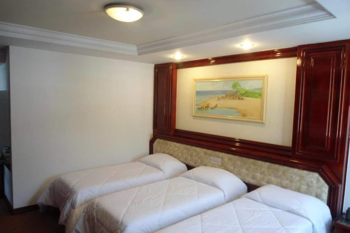 Una habitación de hotel con dos camas, un cuadro en la pared y una lámpara en el techo.