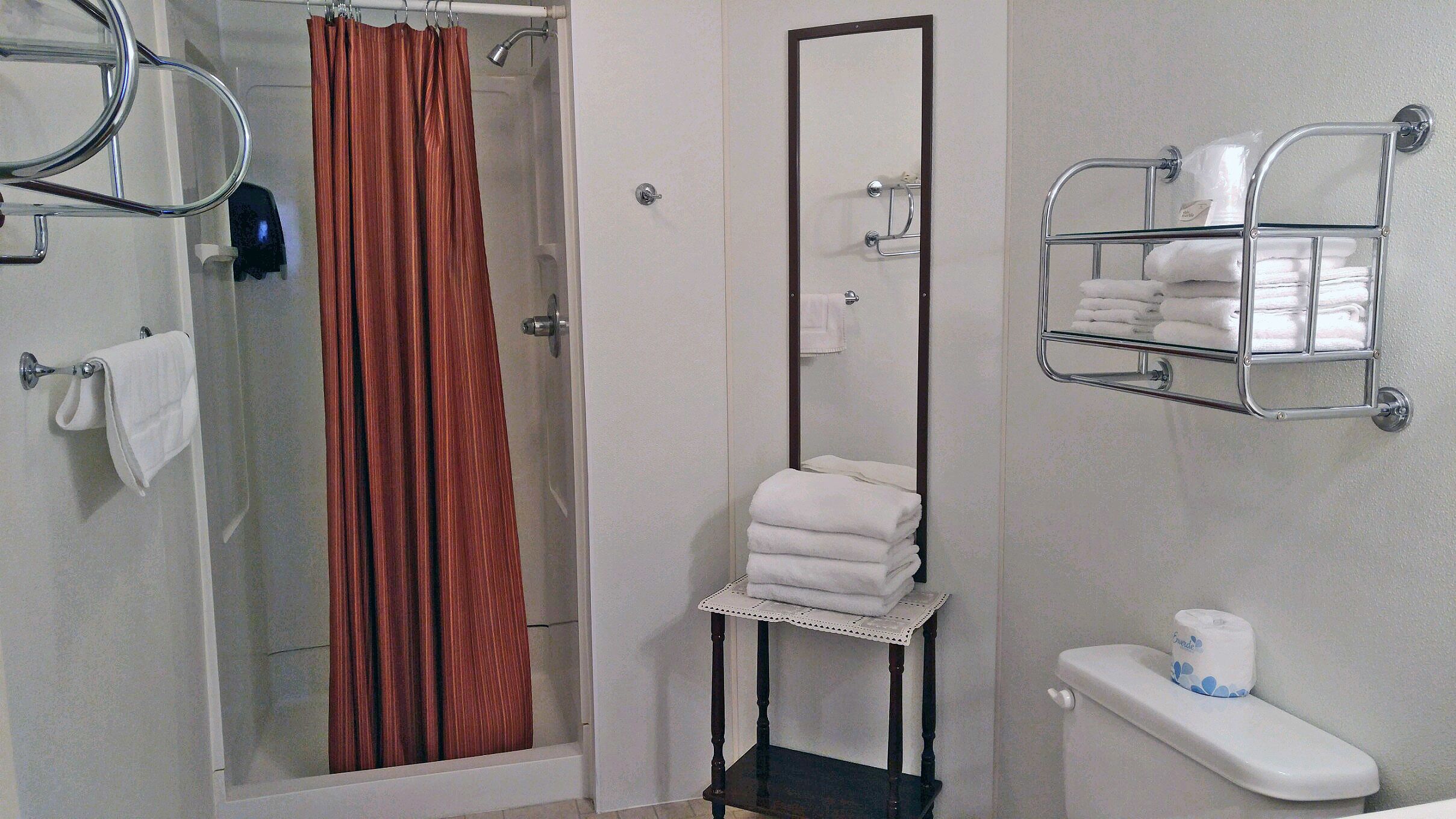 A bathroom with a shower, a toilet, a sink, a mirror, and a towel rack.