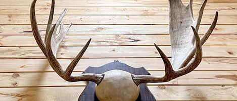 A mounted deer head with antlers on a wooden floor.