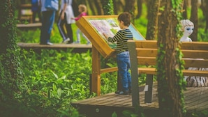 A wooden boardwalk in a park with a child looking at a map. - Hotel Napfény (Zalakaros)