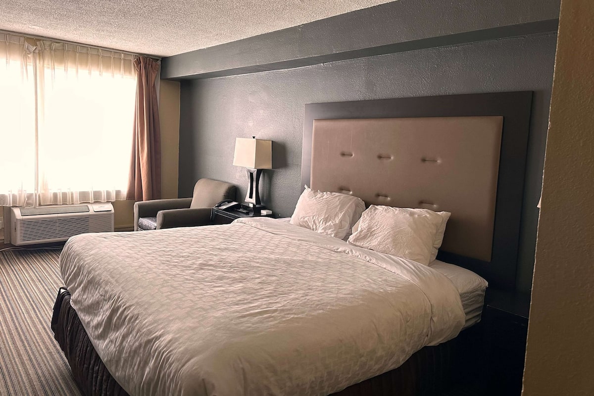 Room, 1 King Bed, Non Smoking | Desk, iron/ironing board, bed sheets