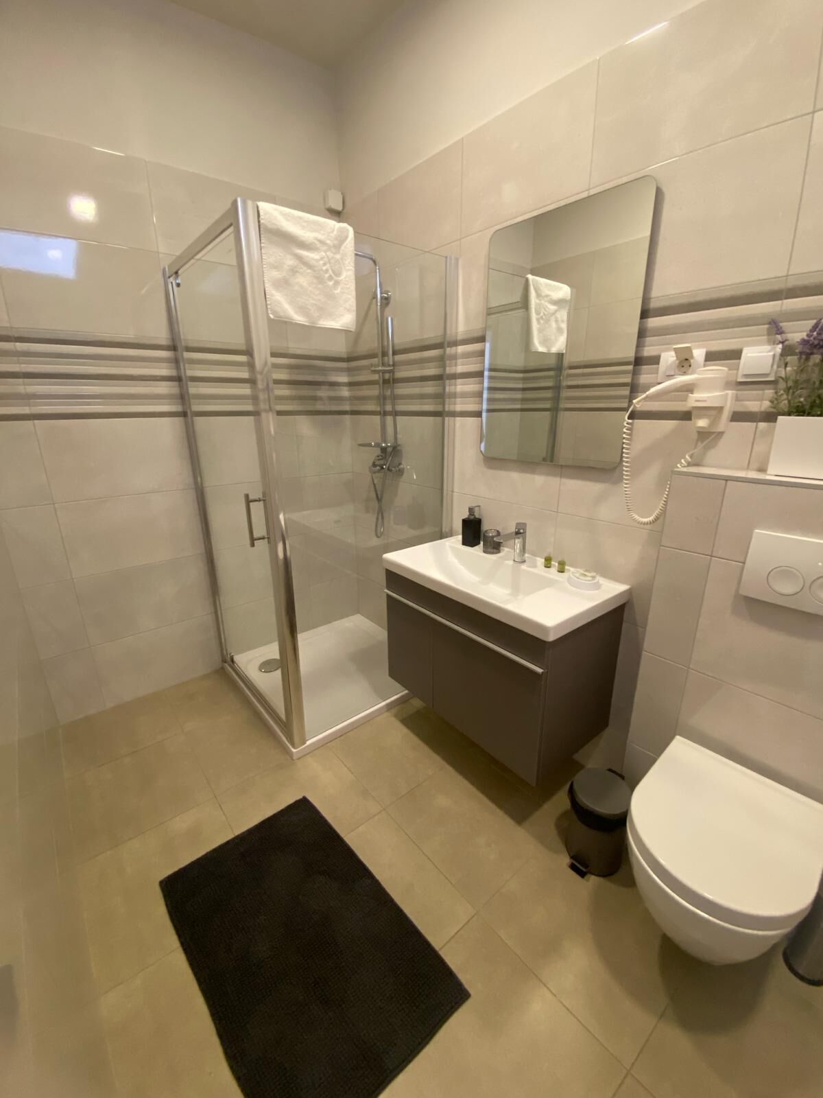 A modern bathroom with a glass shower enclosure, a white sink, a mirror, and a toilet.