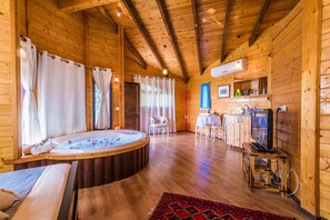 Flat-screen TV - nof tzameret cabins - adults only (Mevoot HaHermon)