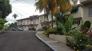 Une rue résidentielle bordée de maisons, avec une voiture garée et une végétation luxuriante.