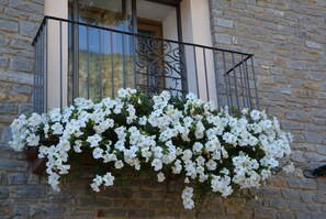 Exterior detail - Hotel Roya (Espot)