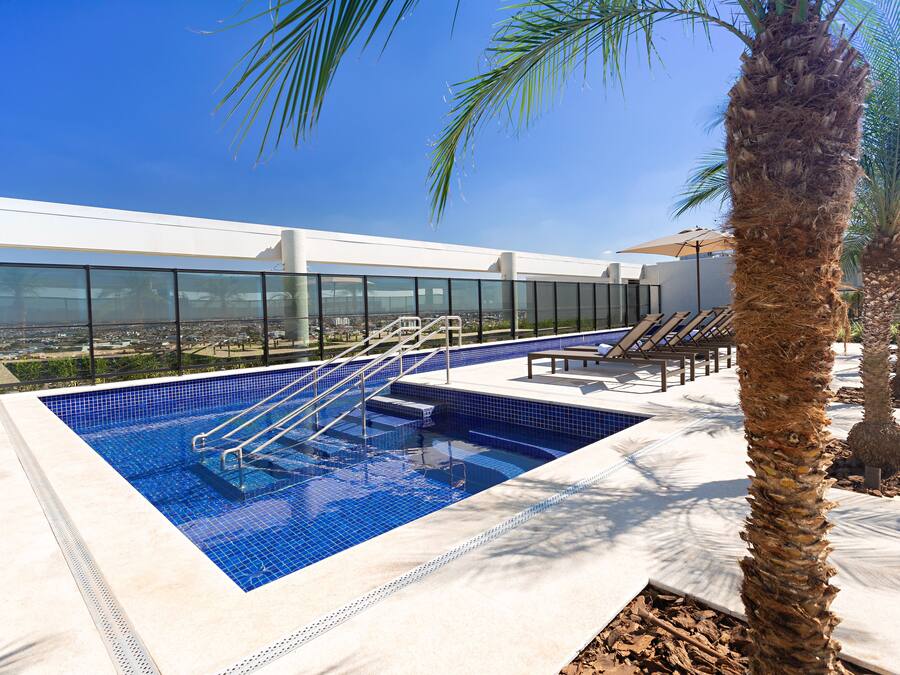 A rooftop pool with clear blue water, a glass balustrade, and palm trees.
