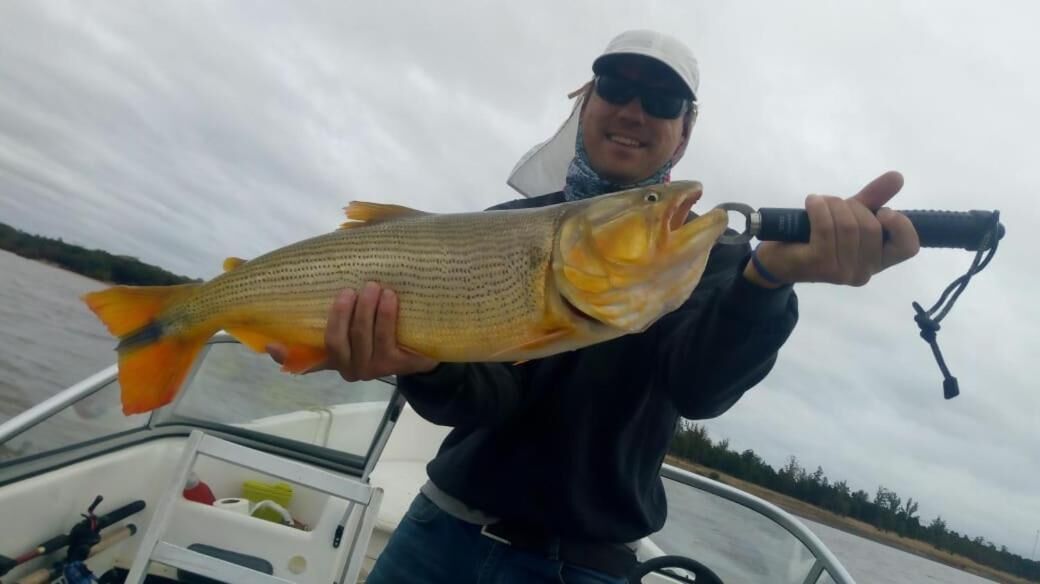A person holding a large fish on a boat.