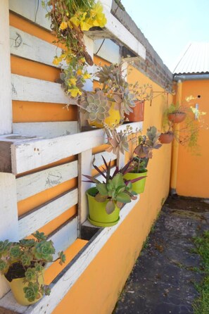 Property grounds - Hosteria San Benito (Concordia)