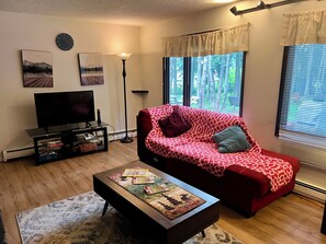 Smart-TV, Kamin, DVD-Player