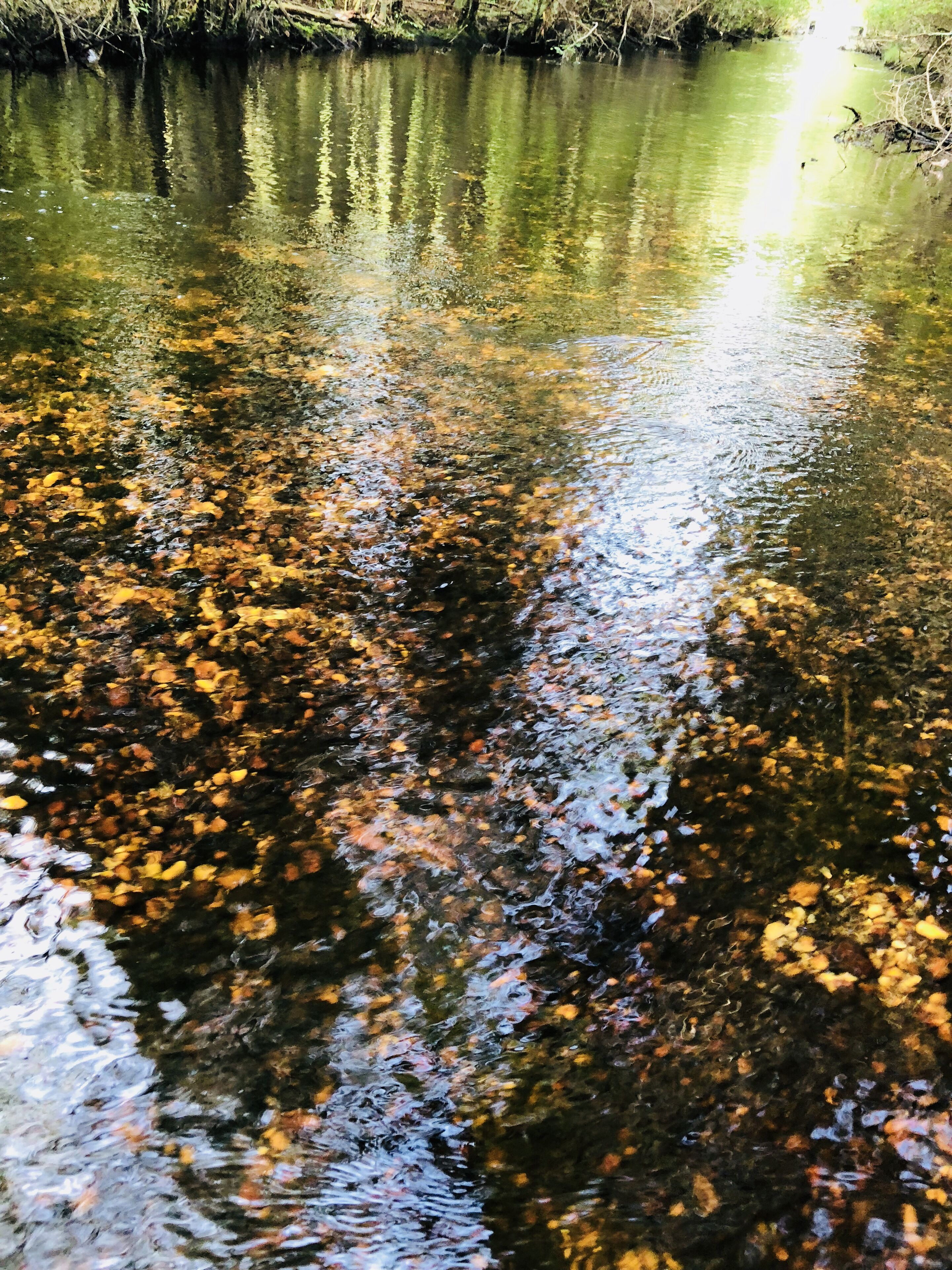 1 dormitori, planxa i posts de planxar i un bressol de viatge 