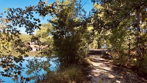 Un sendero de grava que conduce a un puente de madera sobre un lago tranquilo, rodeado de árboles y follaje frondosos.