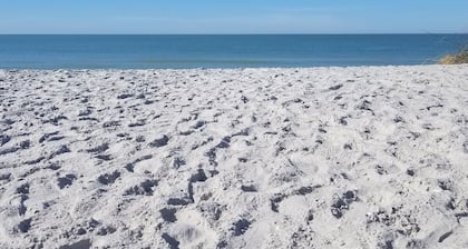 Little Gasparilla Island - Gulf view, golf cart, ferry, pool, boat dock, parking