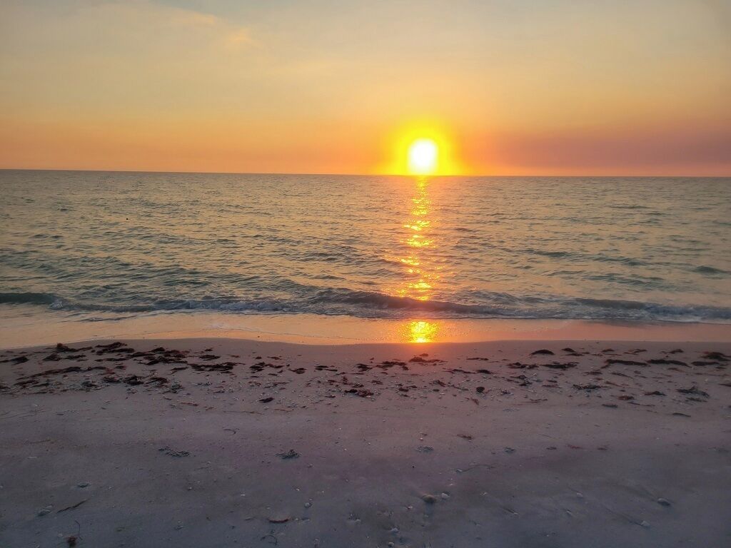 A beach scene with the sun setting over the ocean, creating a reflection on the water.