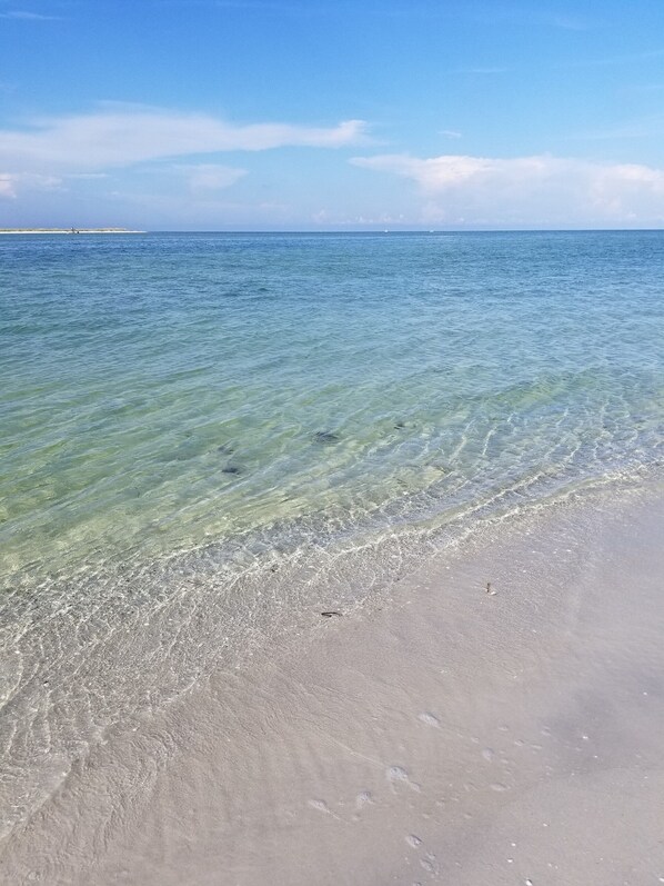 On the beach, sun loungers, beach towels - Little Gasparilla Island - Gulf view, golf cart, ferry, pool, boat dock, parking (Placida)