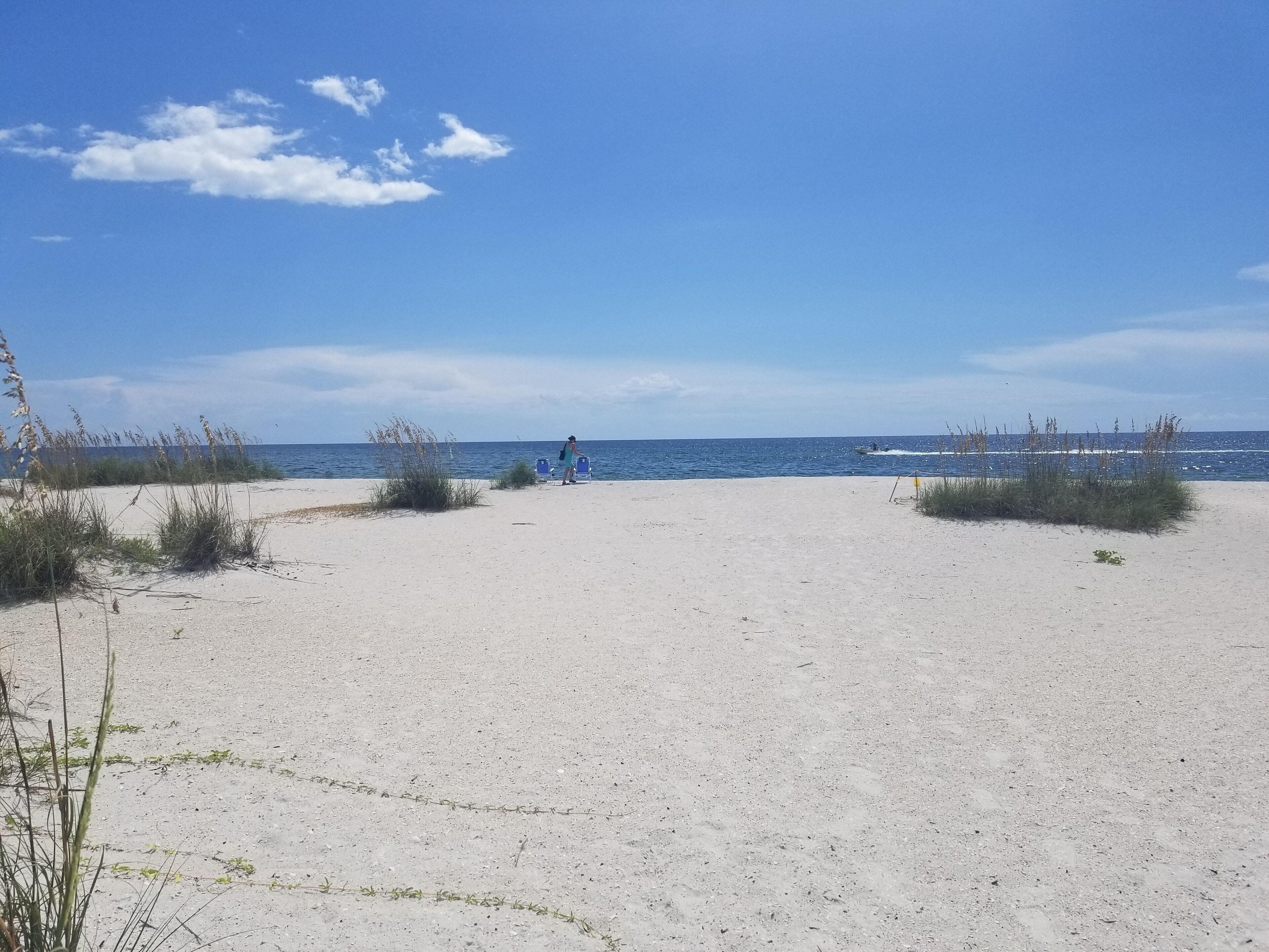 A sandy beach with sparse vegetation and a clear blue sky.