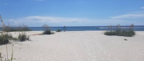 A sandy beach with sparse vegetation and a clear blue sky.
