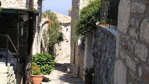 Una calle estrecha con edificios de piedra, plantas en macetas y una reja de metal.