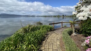 Un paseo junto al lago con un banco de madera, abundante vegetación y flores blancas.