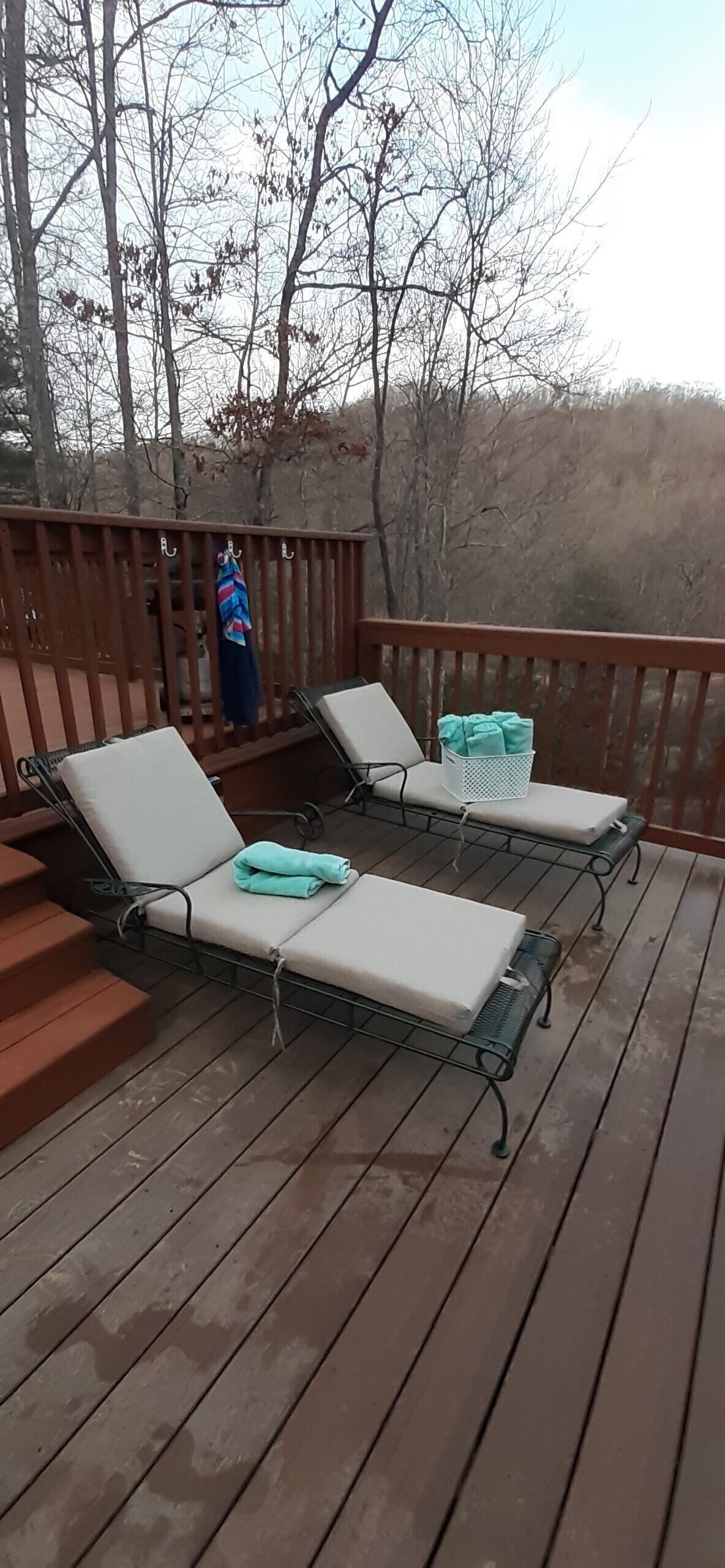 A wooden deck with two lounge chairs, a metal railing, and a view of bare trees.