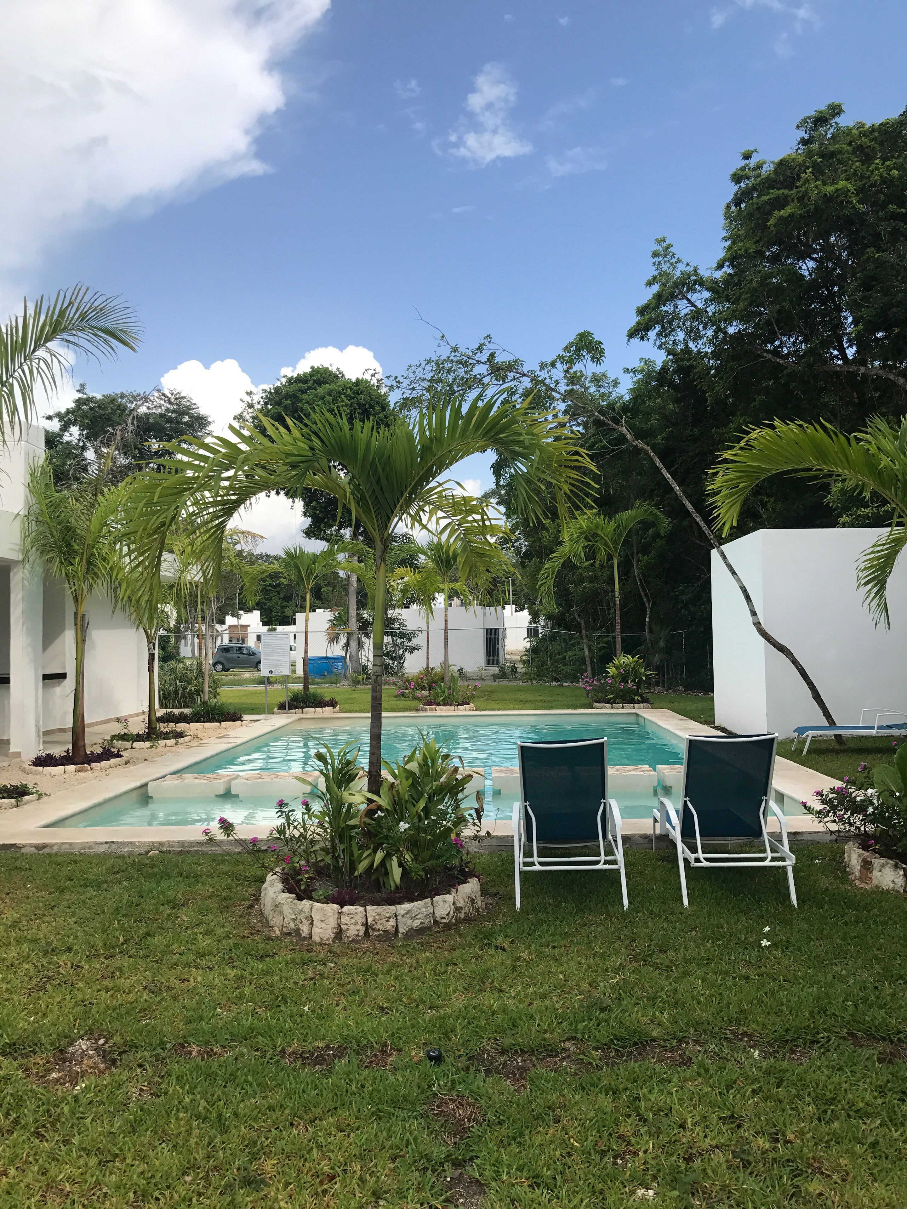 A swimming pool with two lounge chairs, surrounded by palm trees and a grassy area.