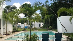 Piscina con dos sillas de descanso, rodeada de palmeras y un césped.