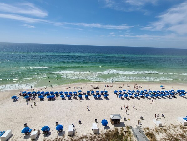 ビーチ、サンラウンジャー