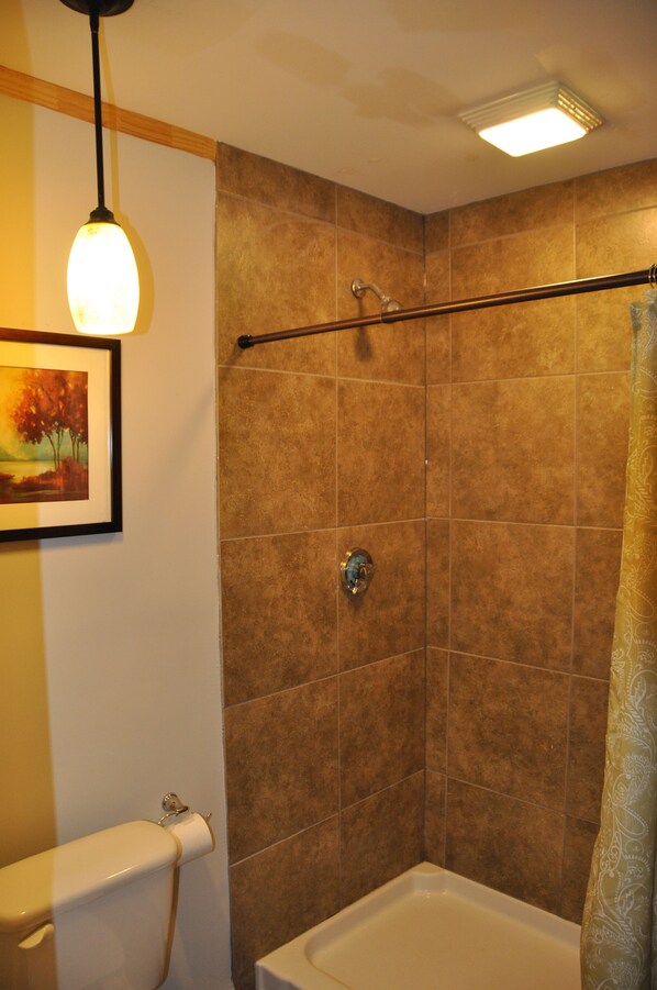Shower, towels, toilet paper