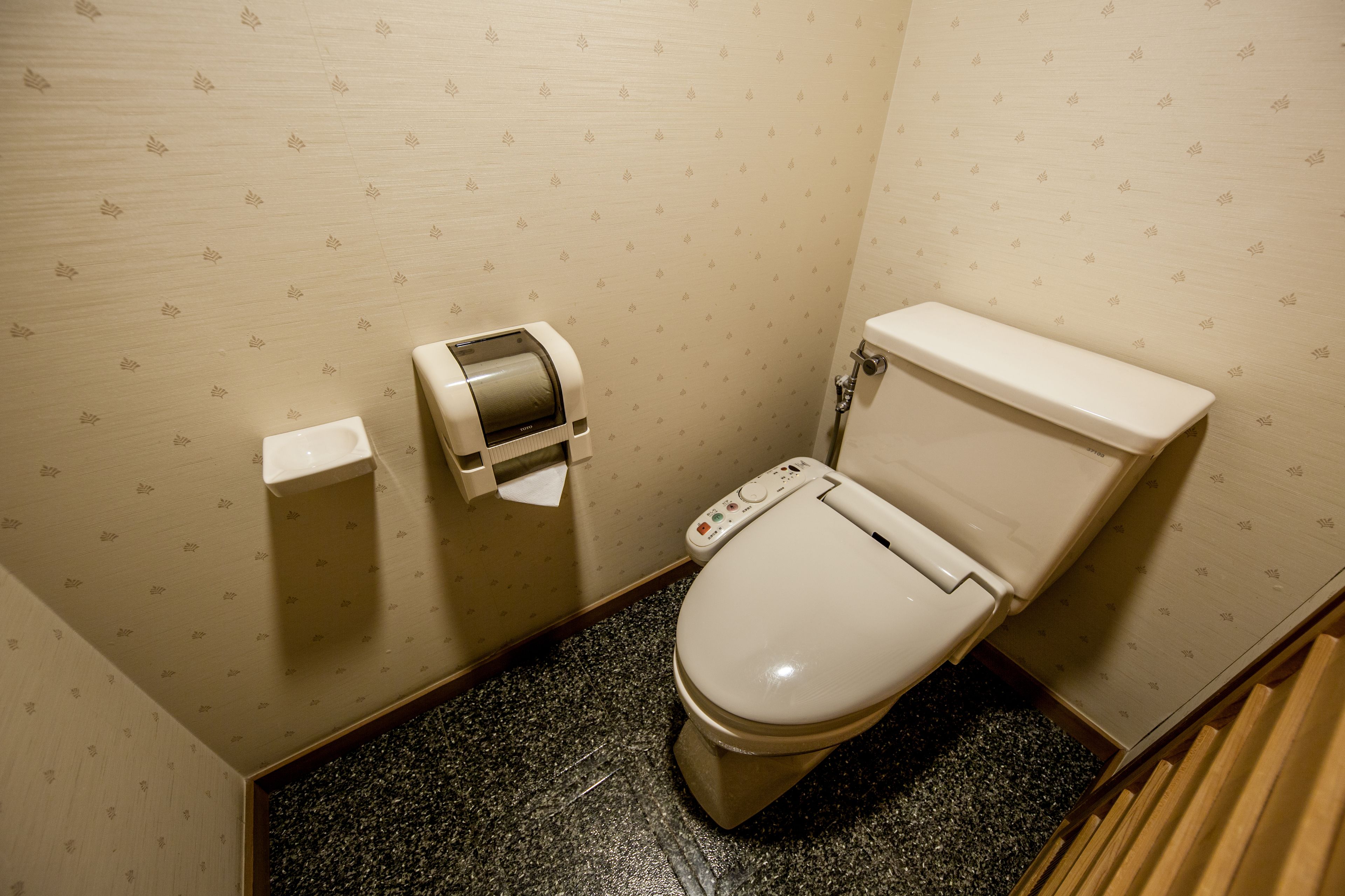 Free toiletries, hair dryer, slippers, electronic bidet