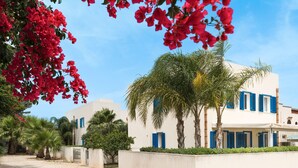 A coastal building with blue shutters, surrounded by palm trees and red flowers. - House with terrace, 80 metres from beach of San Vito lo Capo, Sicily (San Vito Lo Capo)