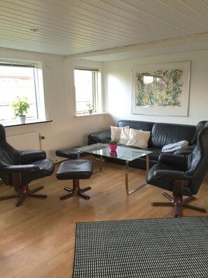 電視、壁爐、書籍