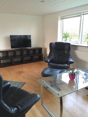 電視、壁爐、書籍