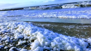 Accommodatie ligt op het strand